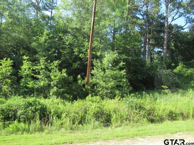 22448 Shady Trl, Flint, TX 75762