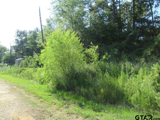 22448 Shady Trl, Flint, TX 75762