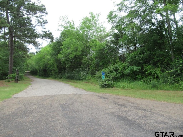 22448 Shady Trl, Flint, TX 75762