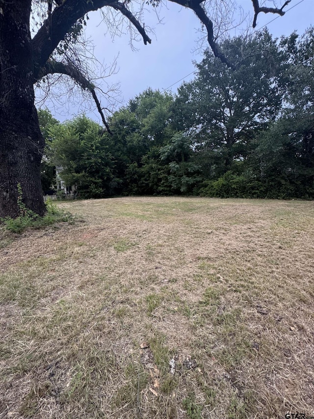 713 Wilson St, Tyler, TX 75702 - photo 2