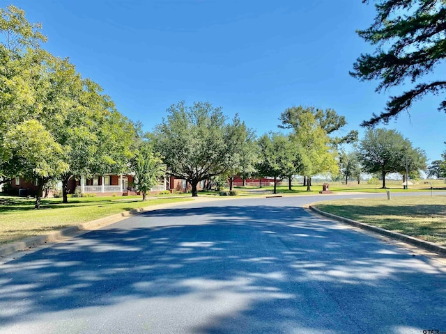 LOT30 Easy St, Frankston, TX 75763