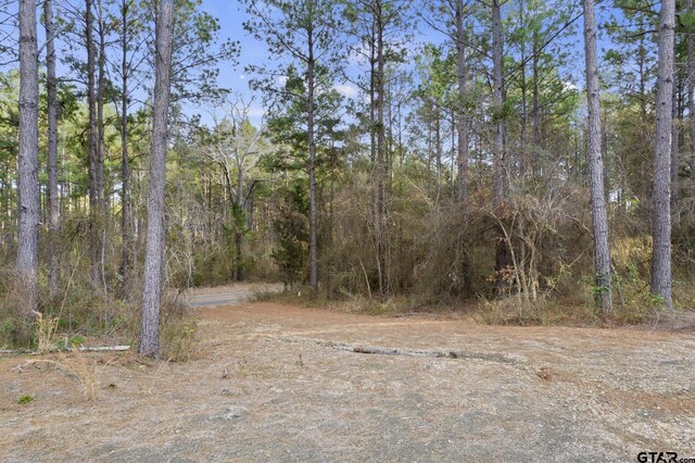 10631 Fm 250, Naples, TX 75568 - photo 2