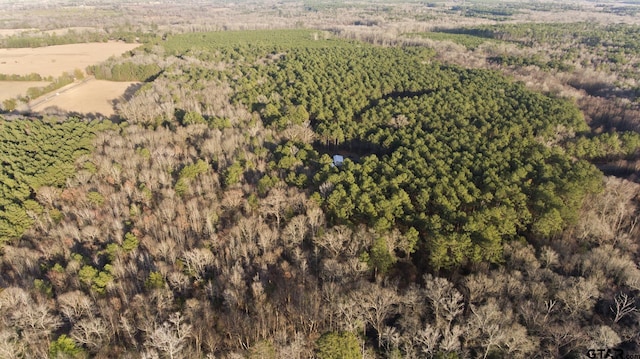 10631 Fm 250, Naples, TX 75568 - photo 11