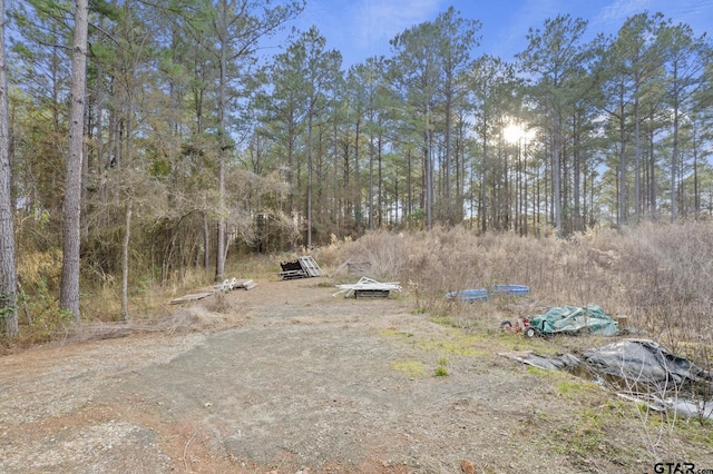 10631 Fm 250, Naples, TX 75568 - photo 3