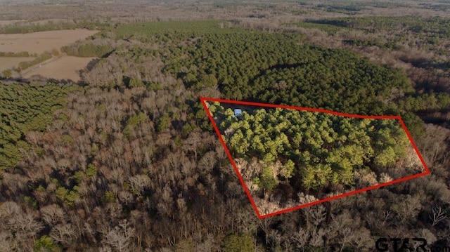 10631 Fm 250, Naples, TX 75568 - photo 14