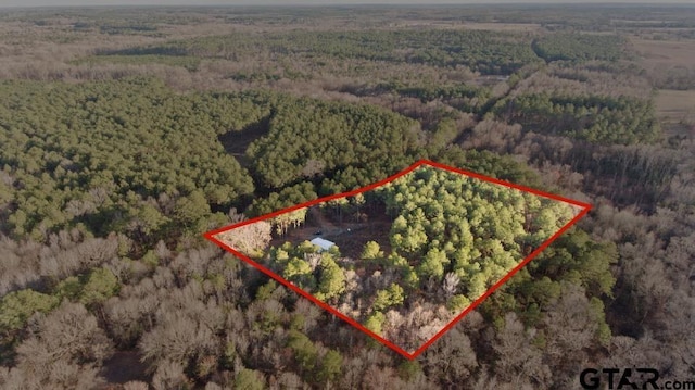 10631 Fm 250, Naples, TX 75568 - photo 13