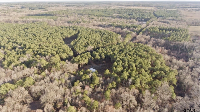 10631 Fm 250, Naples, TX 75568 - photo 10