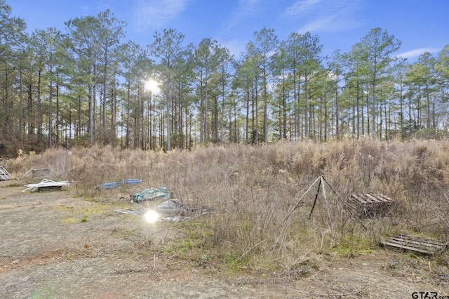 10631 Fm 250, Naples, TX 75568 - photo 5
