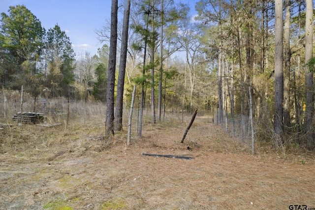 10631 Fm 250, Naples, TX 75568 - photo 4