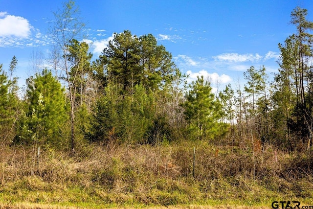 19427 County Road 2153, Troup, TX 75789 - photo 4