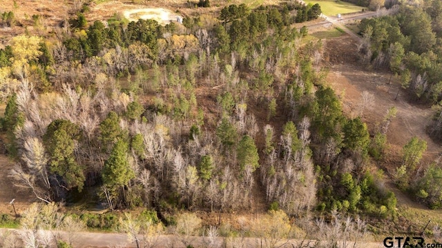 19427 County Road 2153, Troup, TX 75789 - photo 6