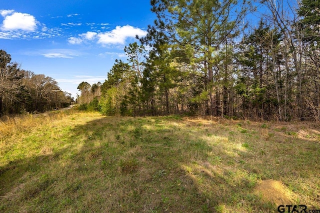 19427 County Road 2153, Troup, TX 75789 - photo 1