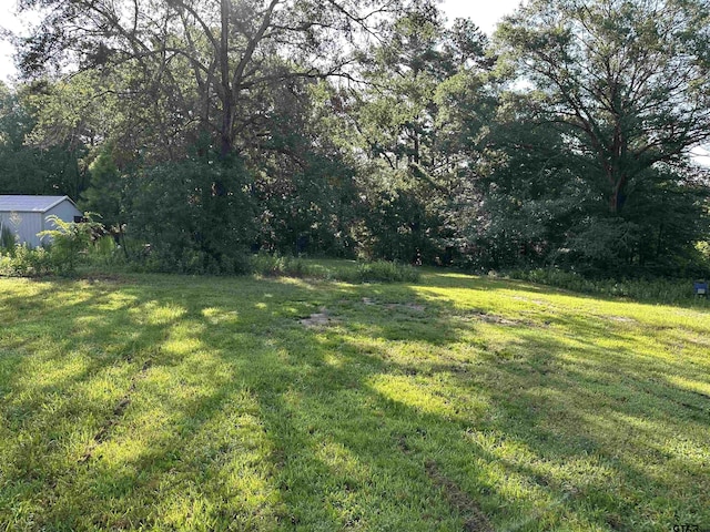 109 Shell St, Overton, TX 75684 - photo 3