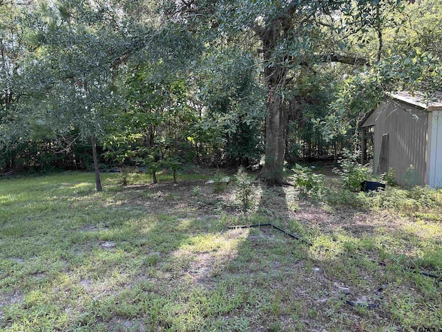 109 Shell St, Overton, TX 75684 - photo 12
