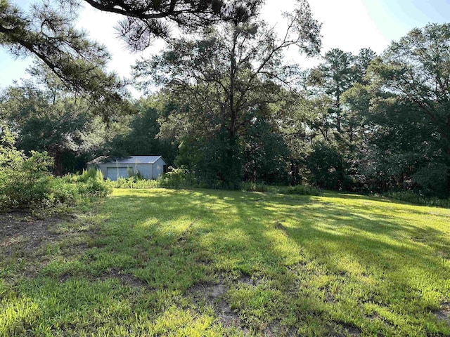 109 Shell St, Overton, TX 75684 - photo 10