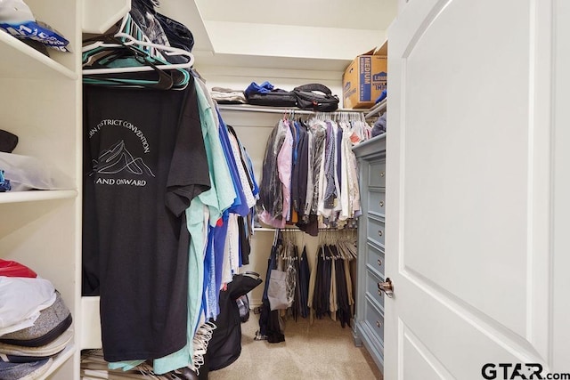 302 Coventry St, Bullard, TX 75757 - walk in closet with carpet floors