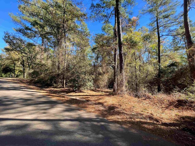 TBD Autumn Wood Trail, Holly Lake Ranch, TX 75765 - photo 8