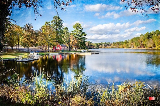 TBD Autumn Wood Trail, Holly Lake Ranch, TX 75765 - photo 22