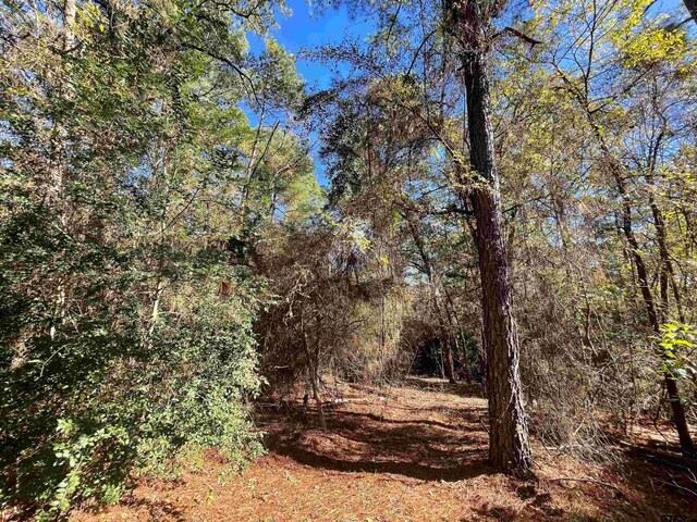 TBD Autumn Wood Trail, Holly Lake Ranch, TX 75765 - photo 5