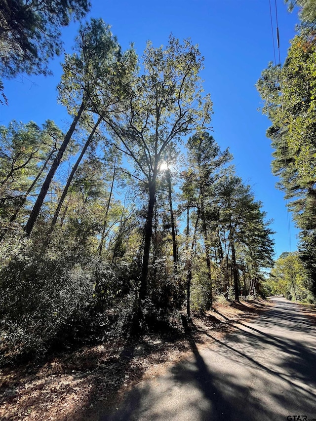 TBD Autumn Wood Trail, Holly Lake Ranch, TX 75765