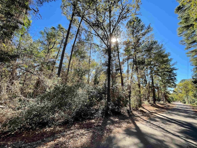 TBD Autumn Wood Trail, Holly Lake Ranch, TX 75765 - photo 2