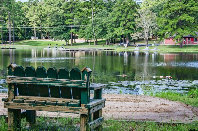 TBD Autumn Wood Trail, Holly Lake Ranch, TX 75765 - photo 15