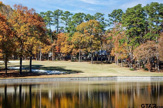 TBD Autumn Wood Trail, Holly Lake Ranch, TX 75765 - photo 19