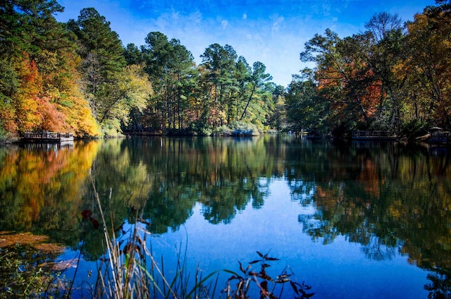 TBD Autumn Wood Trail, Holly Lake Ranch, TX 75765 - photo 21