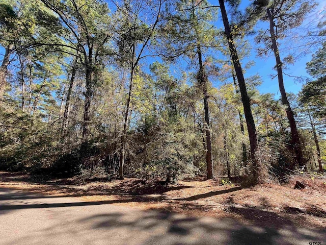 TBD Autumn Wood Trail, Holly Lake Ranch, TX 75765 - photo 4