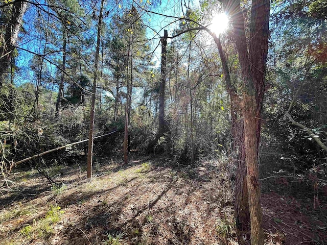 TBD Autumn Wood Trail, Holly Lake Ranch, TX 75765 - photo 9