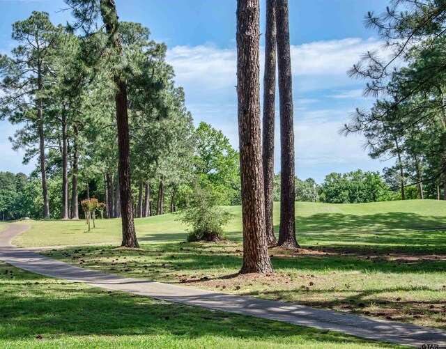 TBD Autumn Wood Trail, Holly Lake Ranch, TX 75765 - photo 13