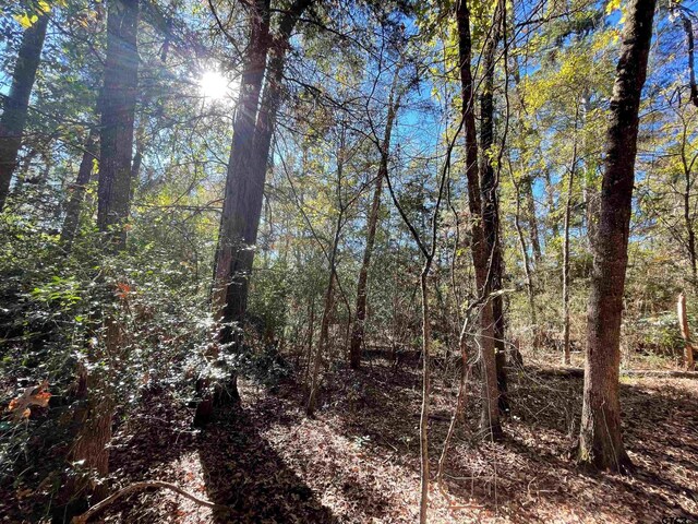TBD Autumn Wood Trail, Holly Lake Ranch, TX 75765 - photo 10