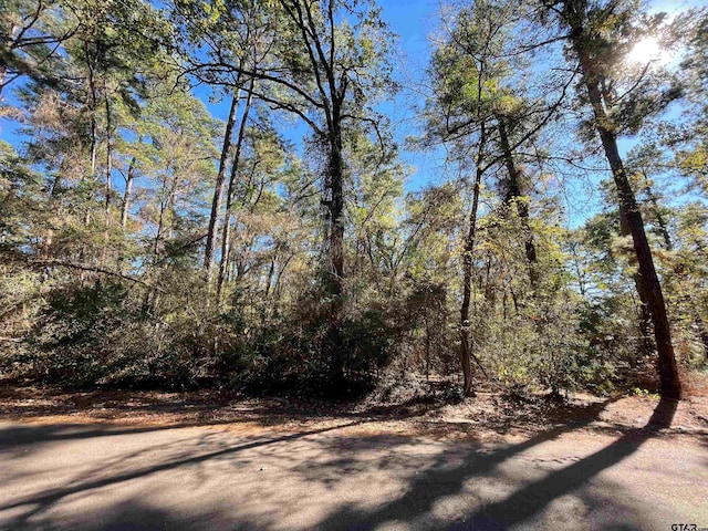 TBD Autumn Wood Trail, Holly Lake Ranch, TX 75765 - photo 3