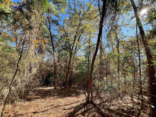 TBD Autumn Wood Trail, Holly Lake Ranch, TX 75765 - photo 6