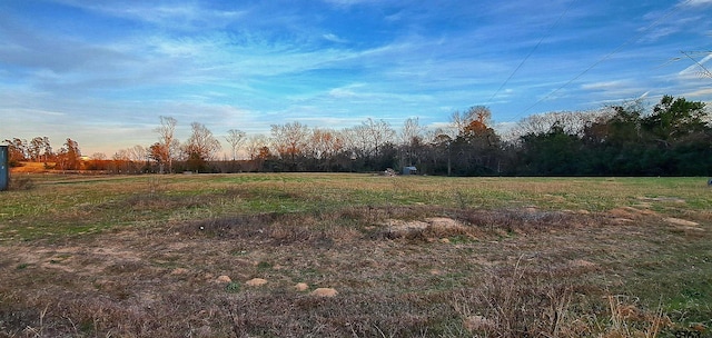 view of yard with a rural view