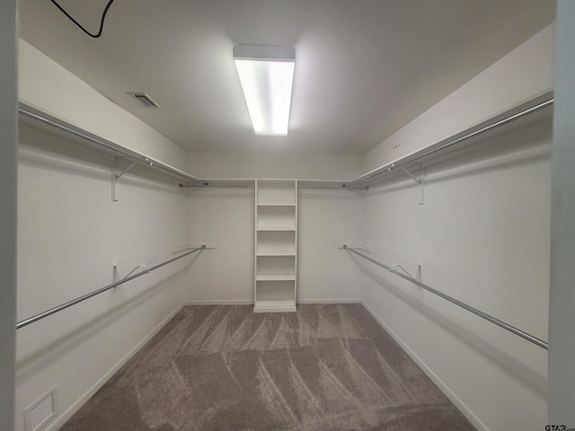 walk in closet with carpet floors