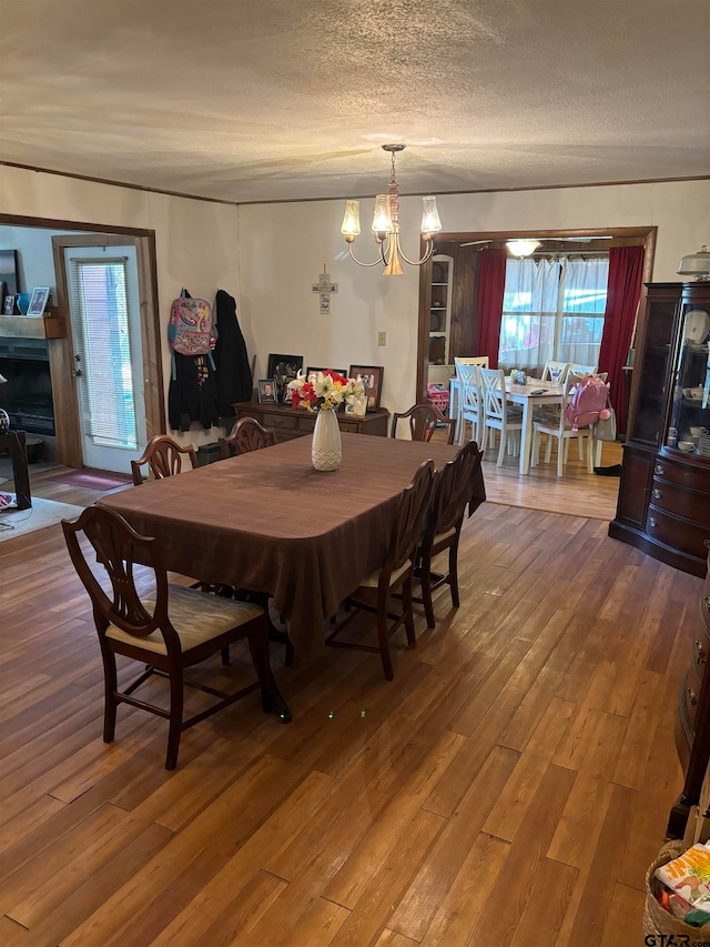 dining room with hardwood / wood-style flooring and a healthy amount of sunlight