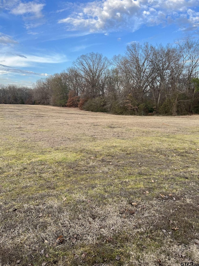 Listing photo 3 for LOT4 County Road 4215, Mount Pleasant TX 75455