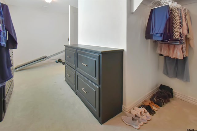 spacious closet with light carpet