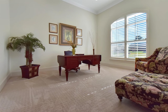 office area with light colored carpet and ornamental molding