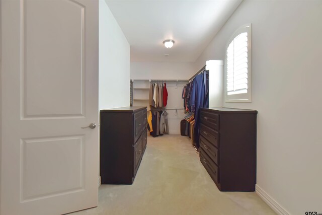 spacious closet featuring light carpet