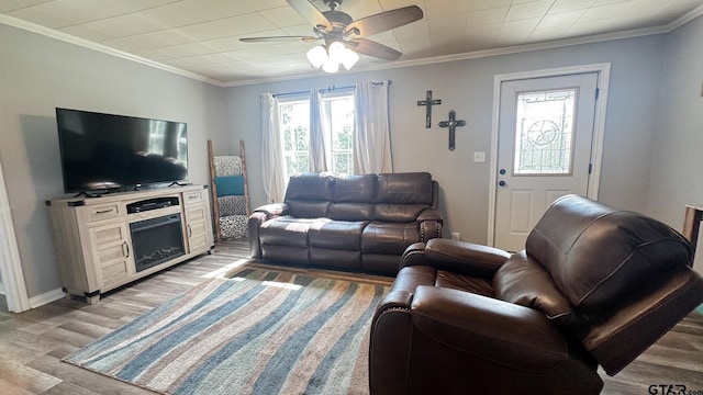 living room featuring ceiling fan, light wood-type flooring, and crown molding