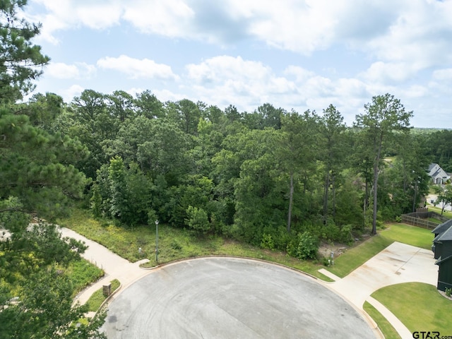 1242 Rainmaker, Tyler, TX 75703 - photo 3