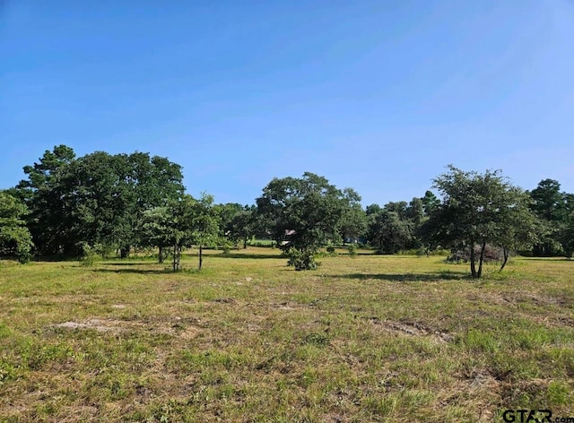 TBD Cr 4223, Frankston TX, 75763 land for sale