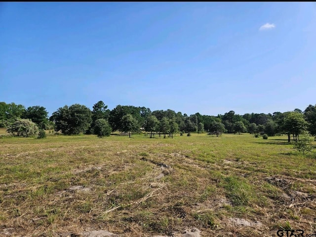 Listing photo 3 for TBD Cr 4223, Frankston TX 75763