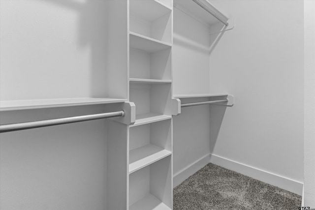 walk in closet featuring carpet