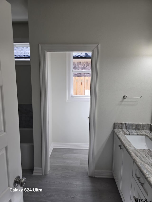 bathroom with hardwood / wood-style flooring and vanity