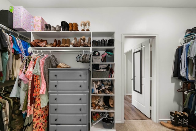 spacious closet featuring hardwood / wood-style flooring