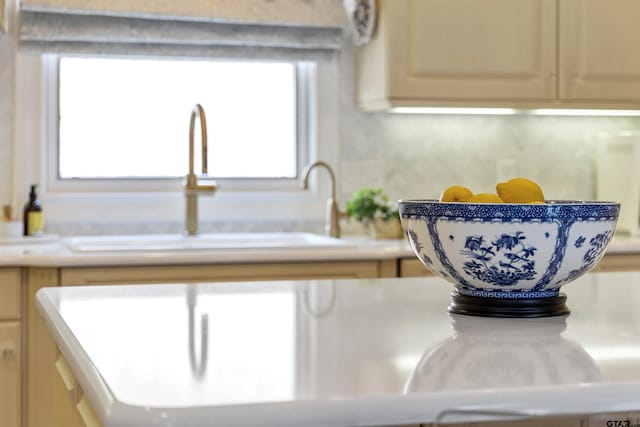 interior details featuring sink