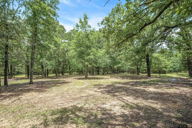 Listing photo 3 for TBD(16Acres) Vz County Road 1804, Grand Saline TX 75140